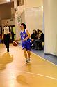 Basket 242061